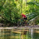 Mountain Bike - Image 3