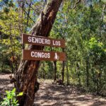 Tour Guiado a Pie por el Bosque