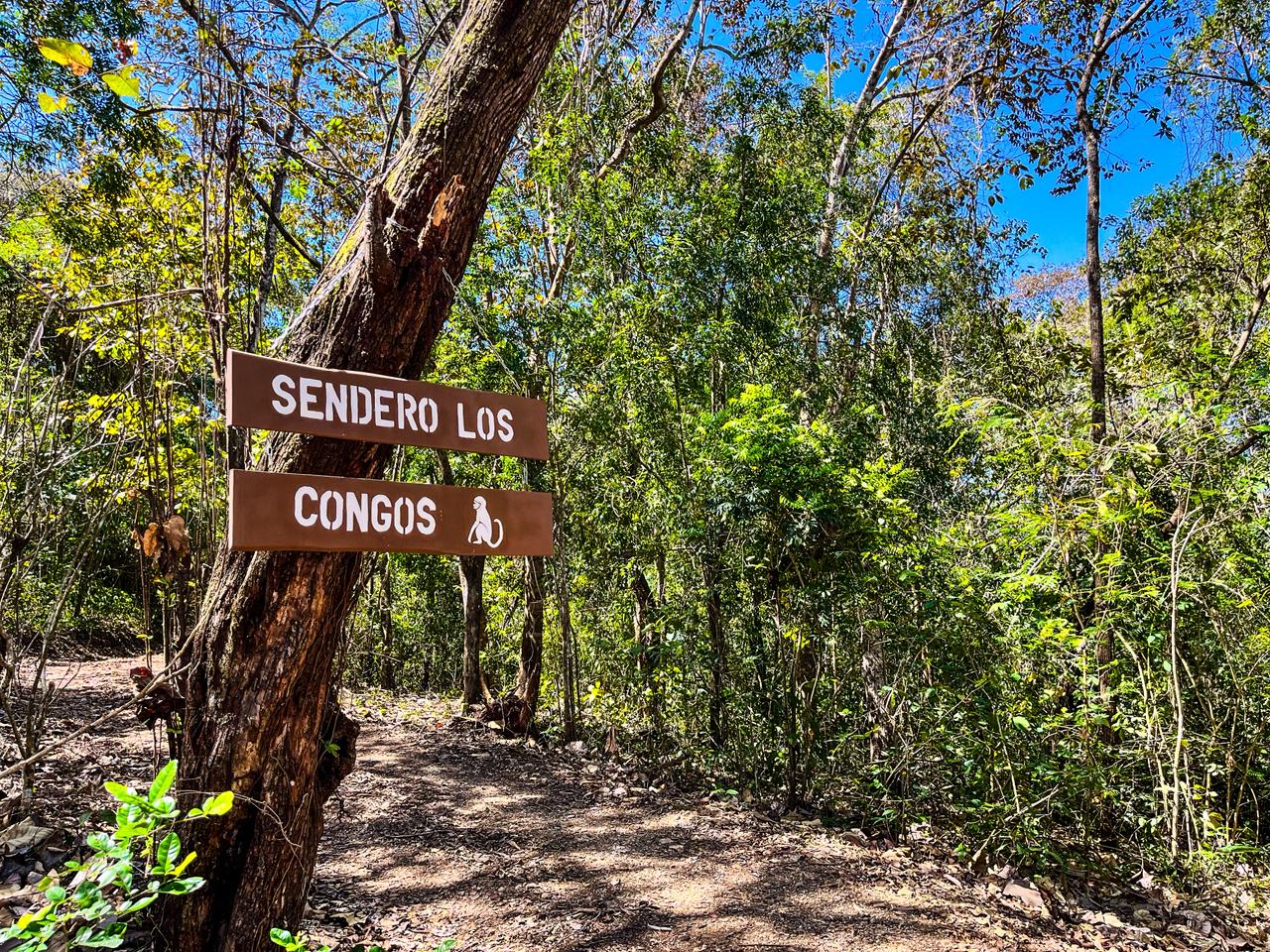 Sendero Los Congos